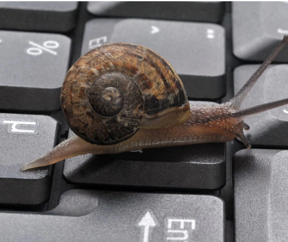 photo d'un escargot sur un clavier pour illustrer la lenteur d'un ordinateur